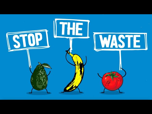 How to Cut Food Waste and Maintain Food Safety