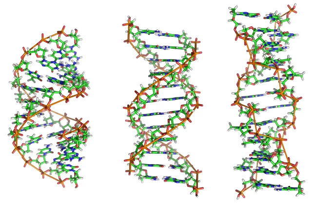 What Is Non-Coding DNA? - StoryMD
