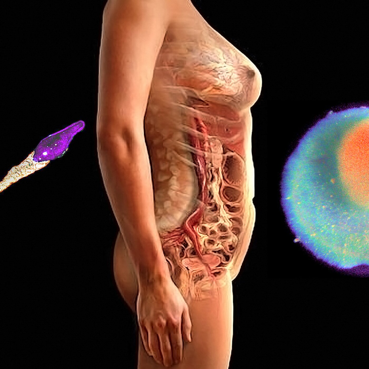 Age and Fertility — I Finally Get What the Doctor Has Been Telling Me episode artwork