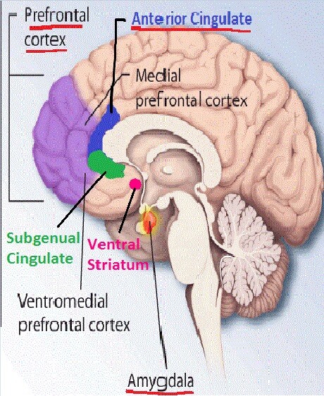 What Are the Signs and Symptoms of Borderline Personality Disorder? -  StoryMD