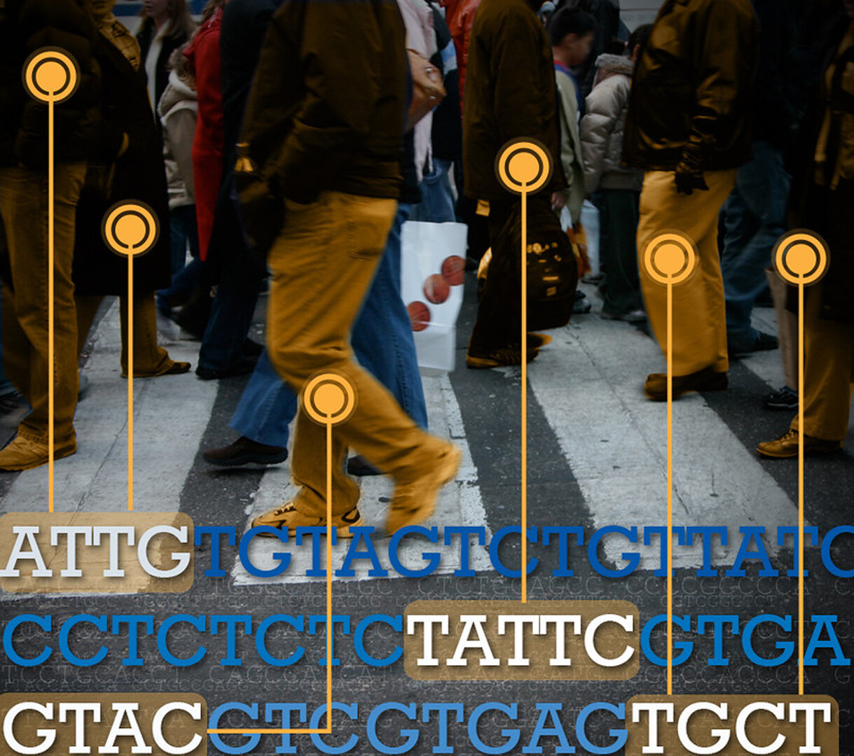 What Is Population Genomics? - StoryMD