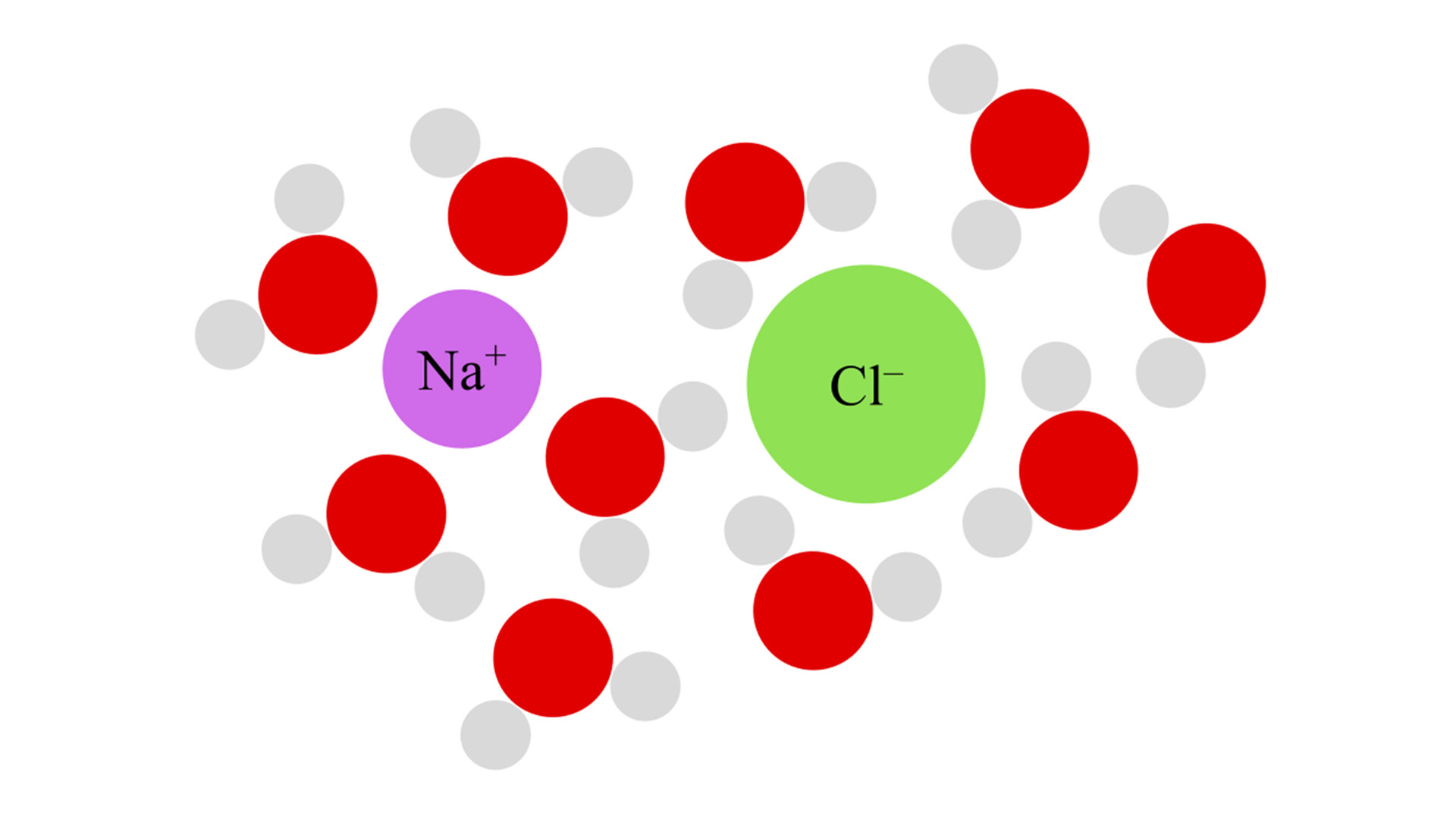 Anion Gap Blood Test Why Is It Done and What the Results Mean StoryMD