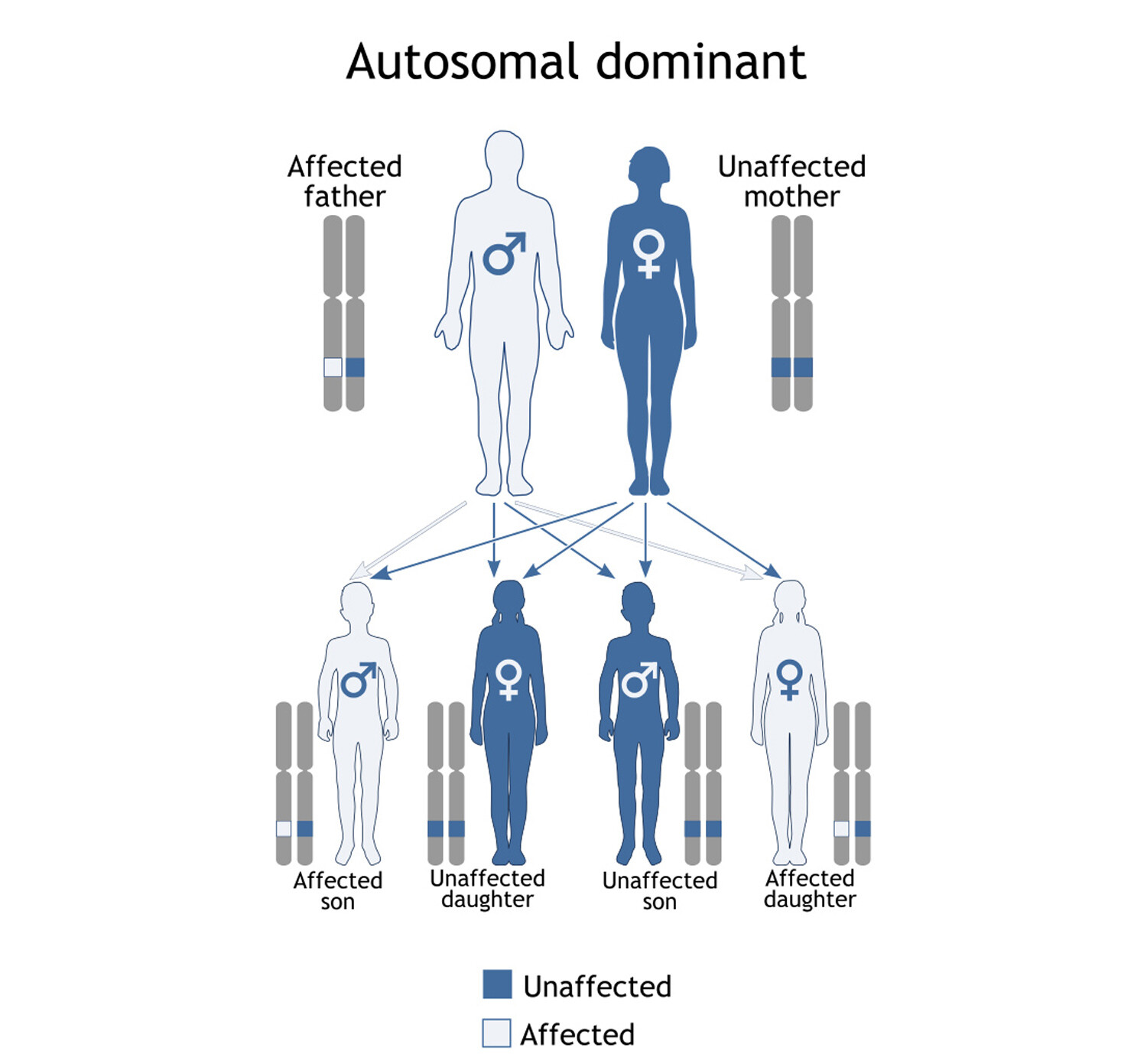 how-is-intrahepatic-cholestasis-of-pregnancy-inherited-storymd