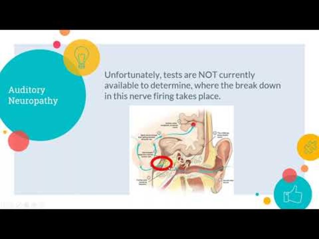 auditory neuropathy spectrum disorder