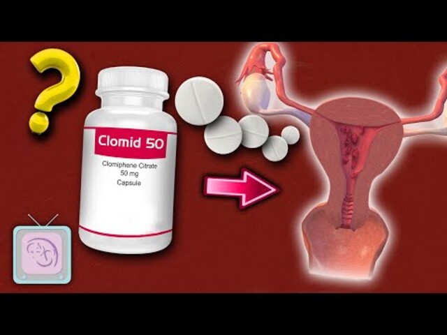 Clomid 50 Mg For Male