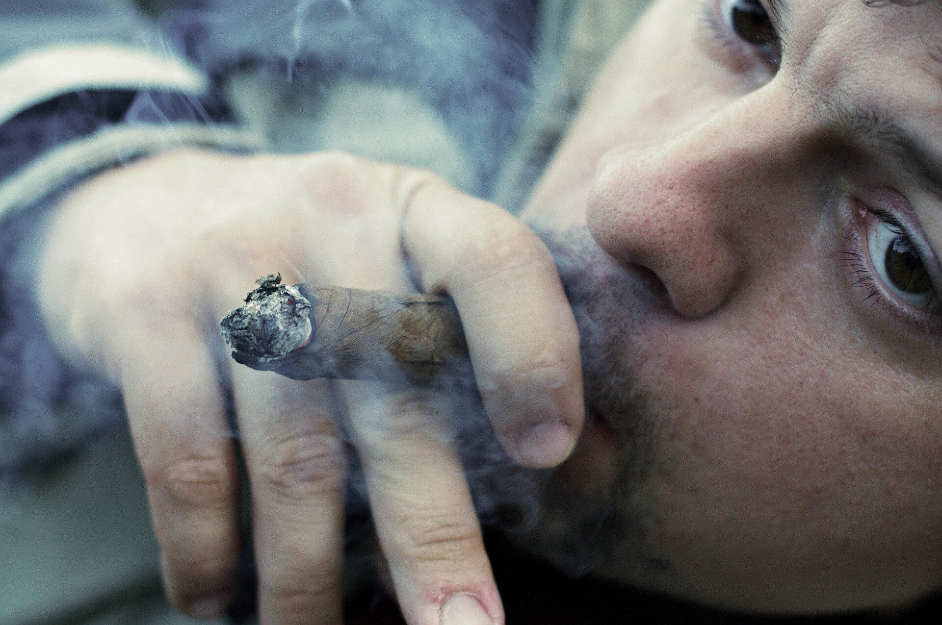 Cigar Smoking and Cancer