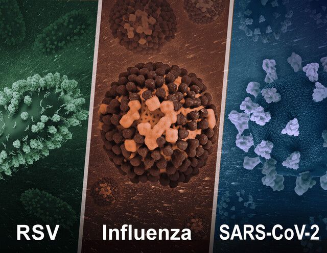 Staphylococcal Infections - StoryMD