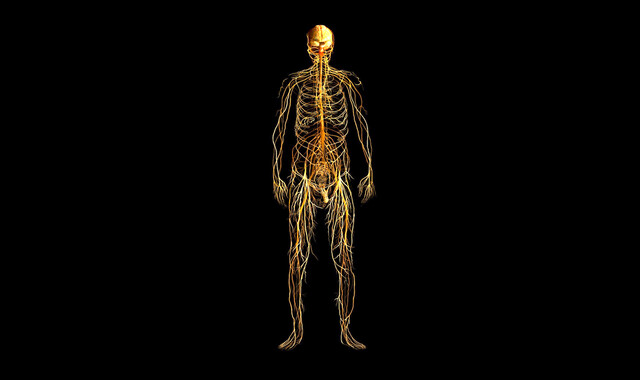 Malignant Peripheral Nerve Sheath Tumor (MPNST): Treatment, Prognosis