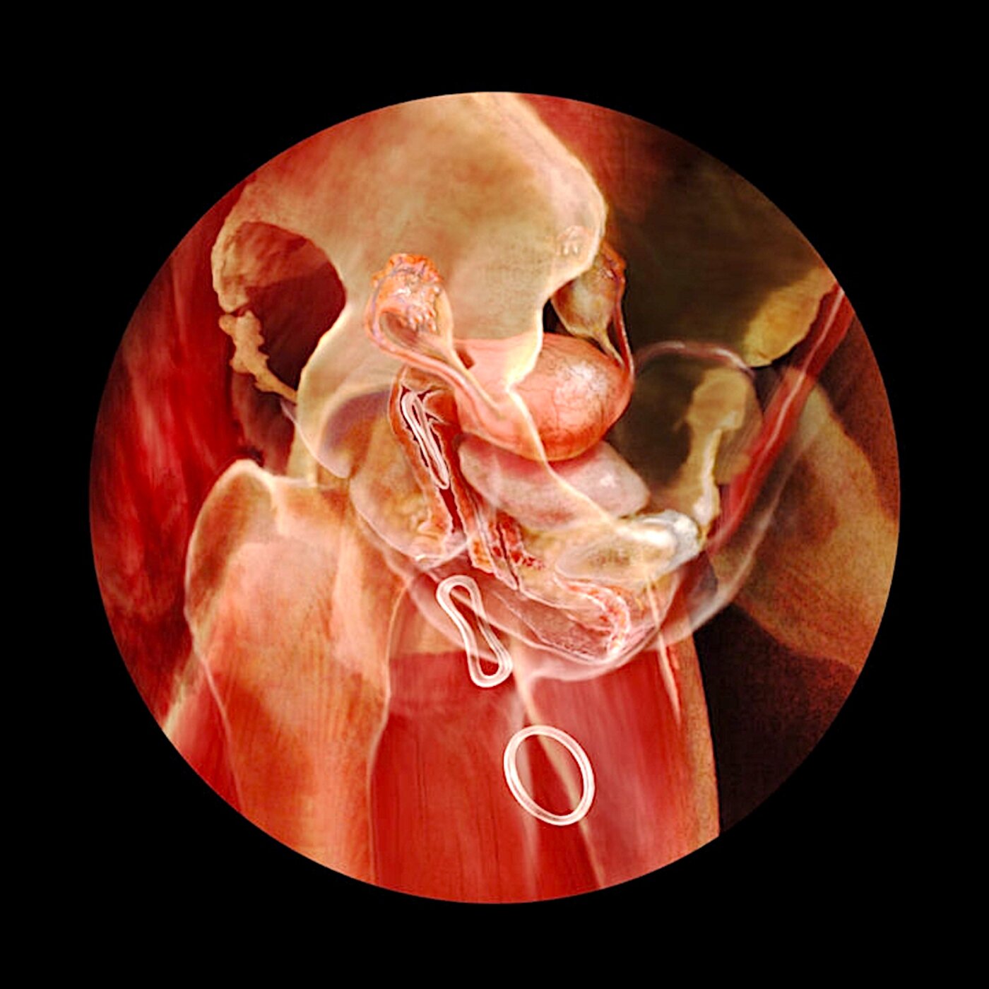 Menopausal Hot Flashes — I Finally Get What the Doctor Has Been Telling Me episode artwork