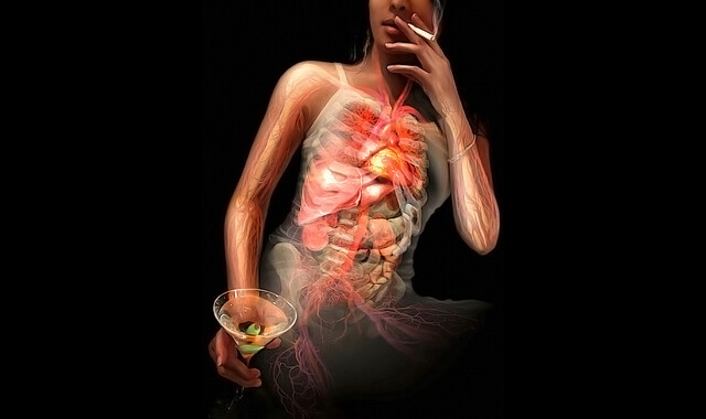 effects of tobacco on the circulatory system Smoking is a major cause of cardiovascular disease, which effects of tobacco use on