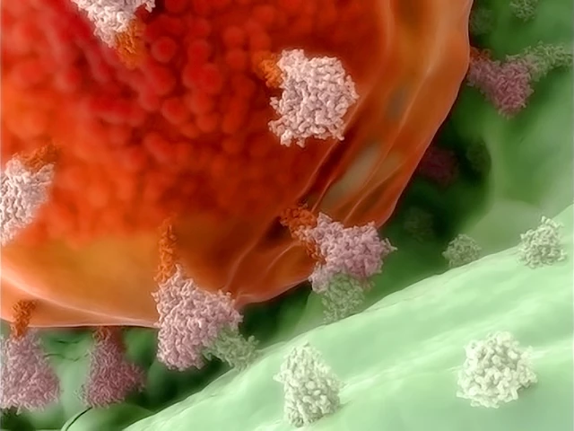 Dendritic Cell, Cells at Work! Wiki