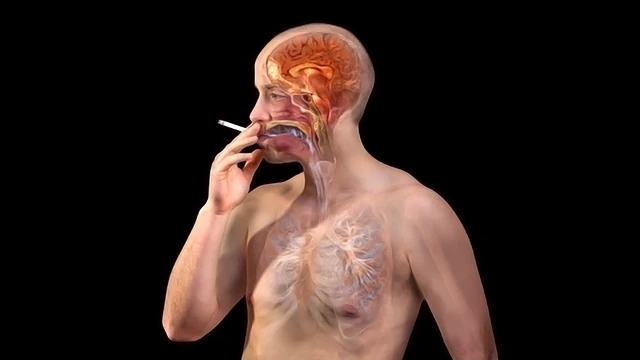 tobacco import 65% duty imposed on imported cigarettes
