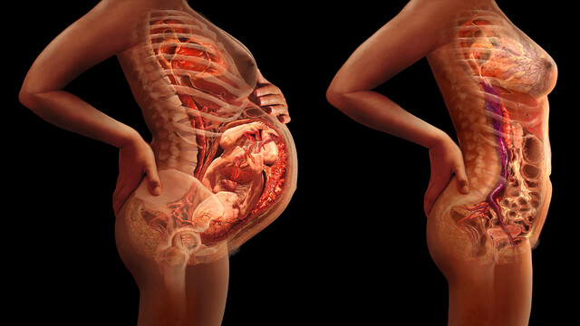 Weight Loss After Pregnancy
