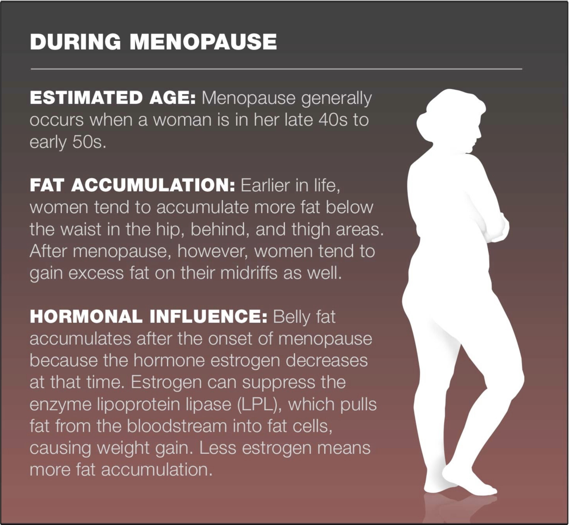 Understanding menopause weight gain: What causes it and how to lose it -  The Washington Post