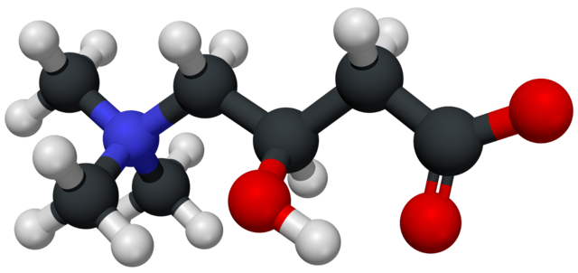 maximum l-carnitine per day Amazon.com: Benevolent L Carnitine Supplement - High Potency 1500mg L- Carnitine Tartrate