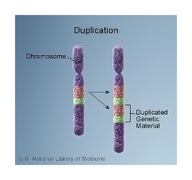 chromosome 9 duplication symptoms