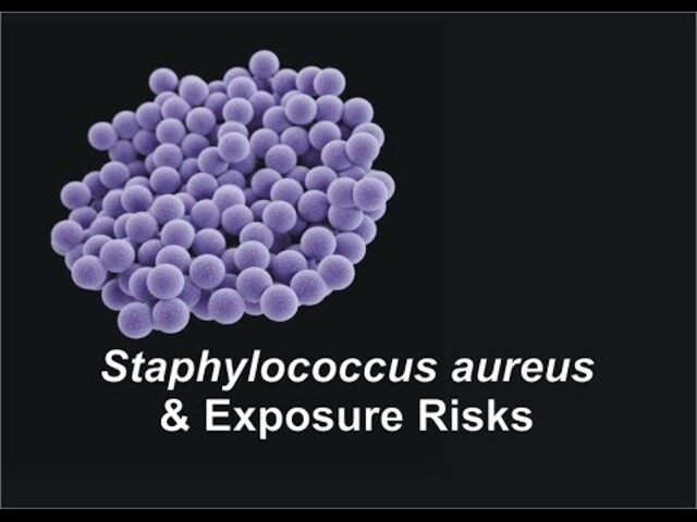 Staphylococcal Infections - StoryMD