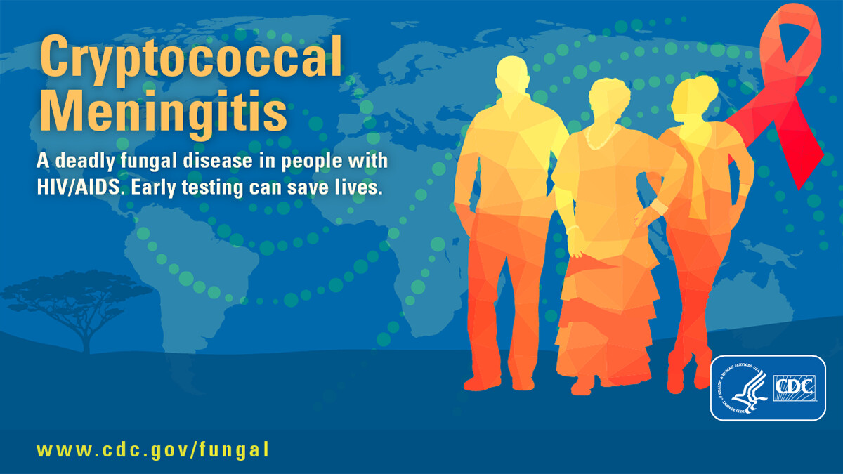 Preventing Deaths From Cryptococcal Meningitis - StoryMD