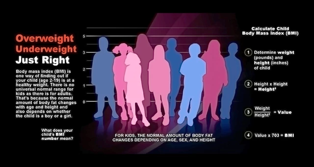 What is the difference between body mass index (BMI) and body fat