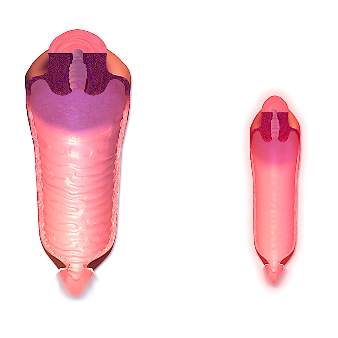 Menopause — I Finally Get What the Doctor Has Been Telling Me episode artwork