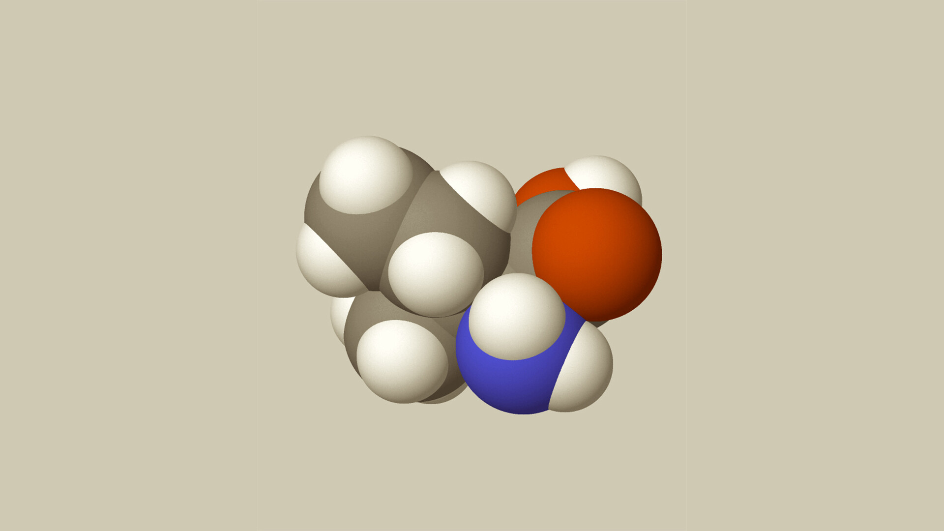 Short/Branched Chain AcylCoA Dehydrogenase Deficiency StoryMD