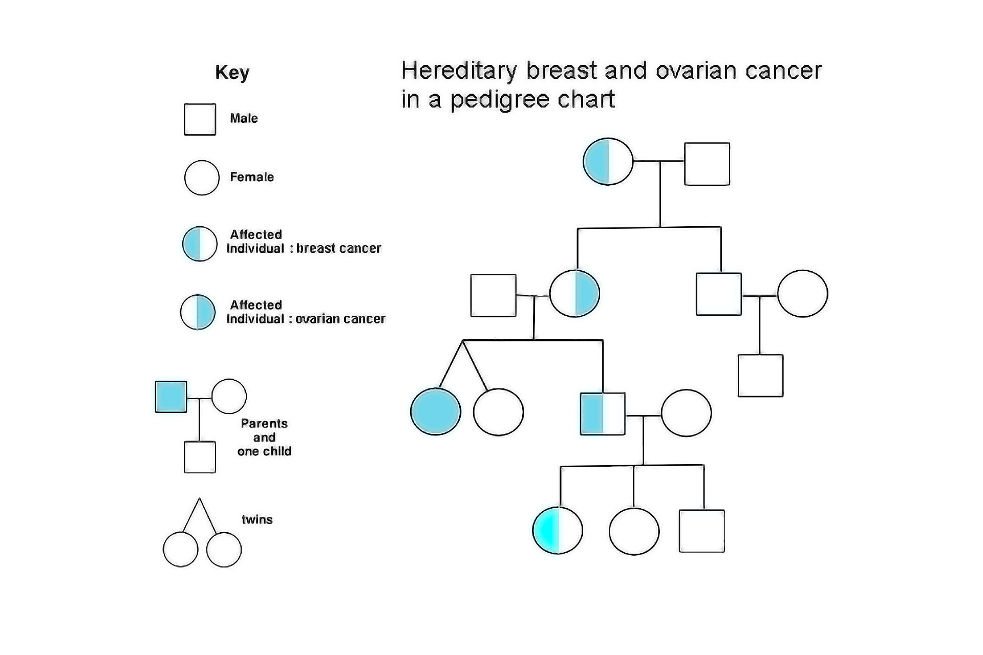 Breast Cancer - StoryMD