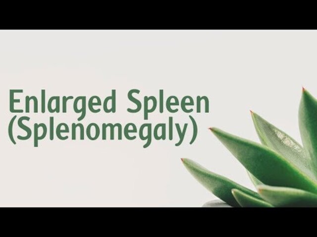 Symptoms and Causes of Enlarged Spleen (Splenomegaly)