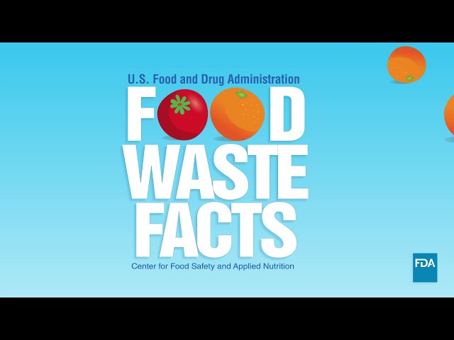 How to Cut Food Waste and Maintain Food Safety