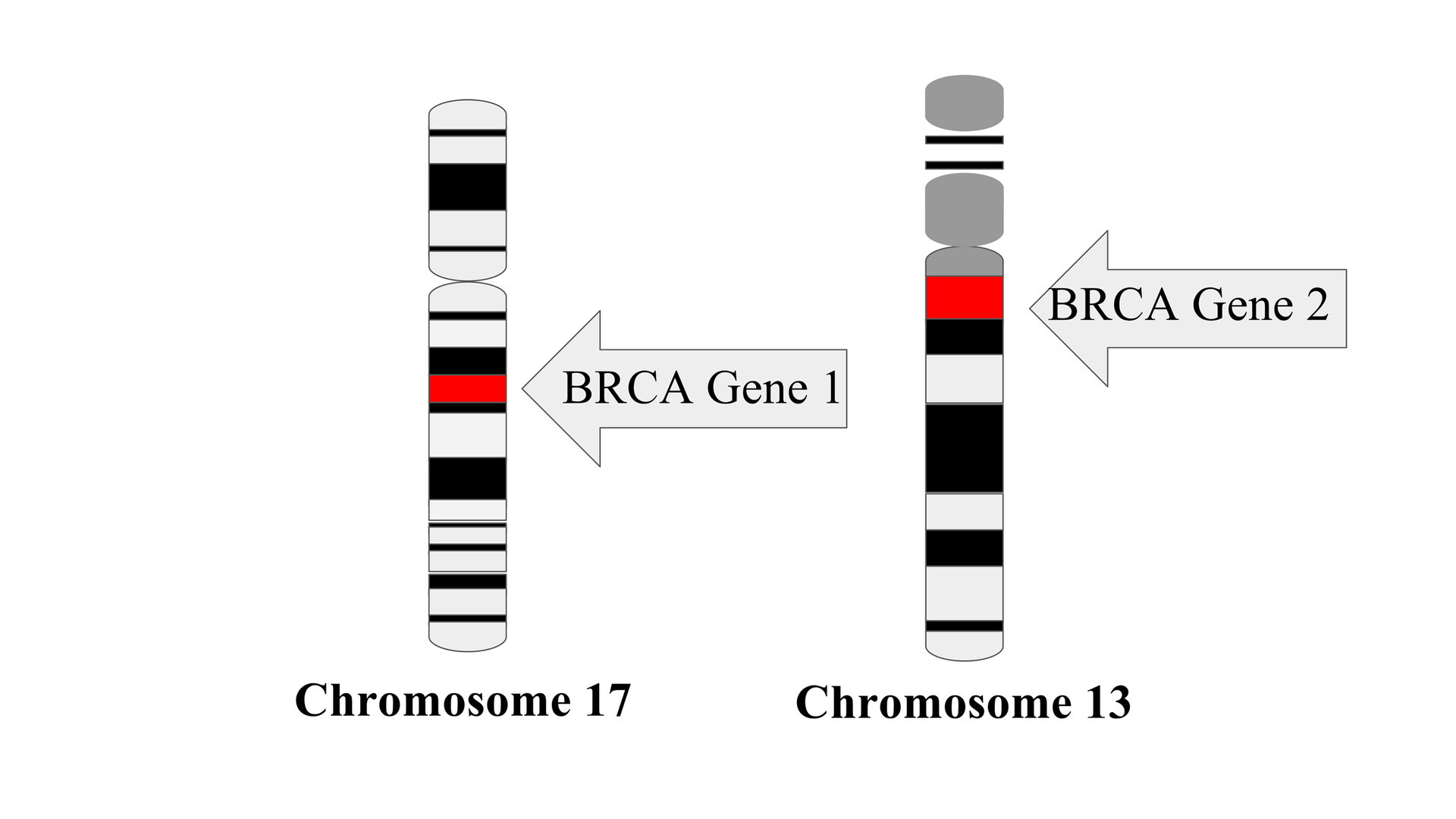 Ген тест 1. Мутация в гене brca1. Гены brca1 и brca2. Мутация генов brca1 и brca2. Гены BRCA.
