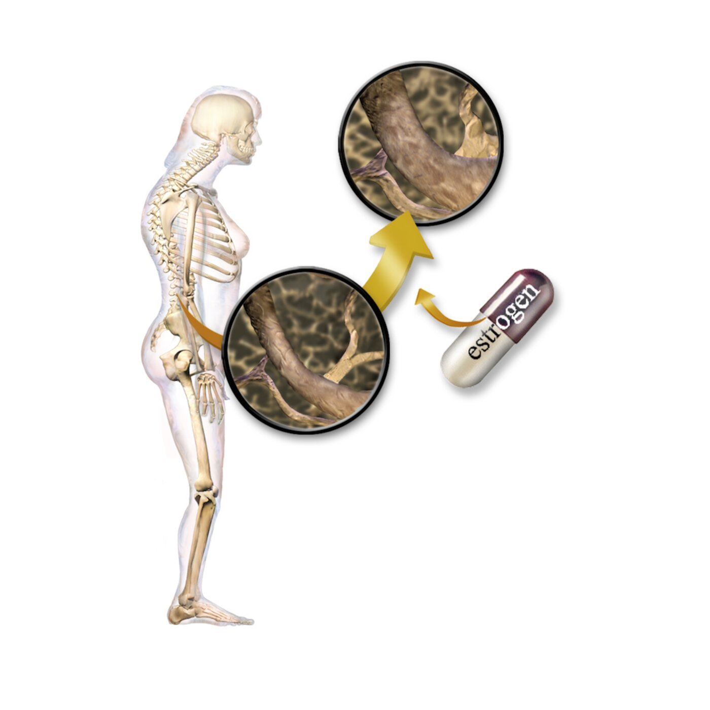 Menopausal Hormone Therapy — I Finally Get What the Doctor Has Been Telling Me episode artwork
