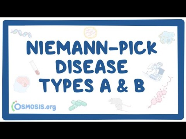 Niemann-Pick disease A or B in four pediatric patients and SMPD1