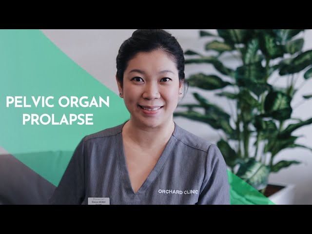 Pelvic Organ Prolapse, Animation 