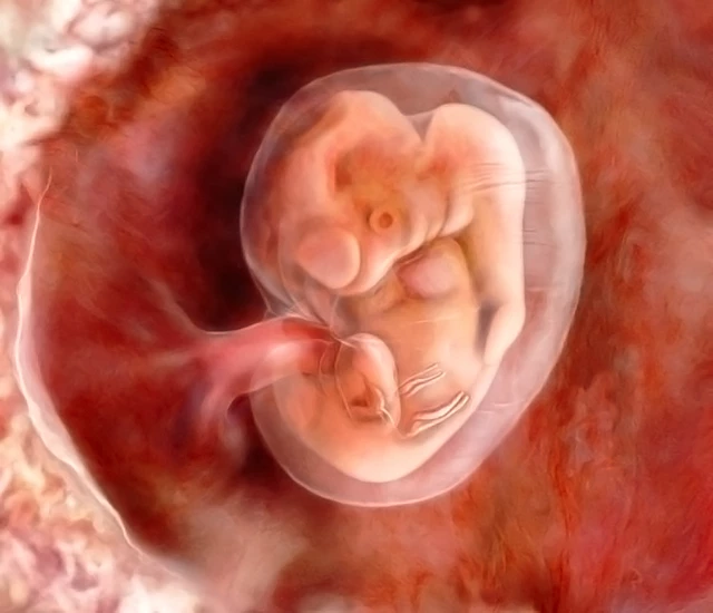 male fetus masturbate A new wave of research is challenging long-held beliefs about male  fertility. According to findings from the University of Oxford, male  masturbation may actually improve fertility through what scientists call  the “sperm main image 0