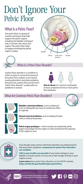 What are Pelvic Floor Disorders?