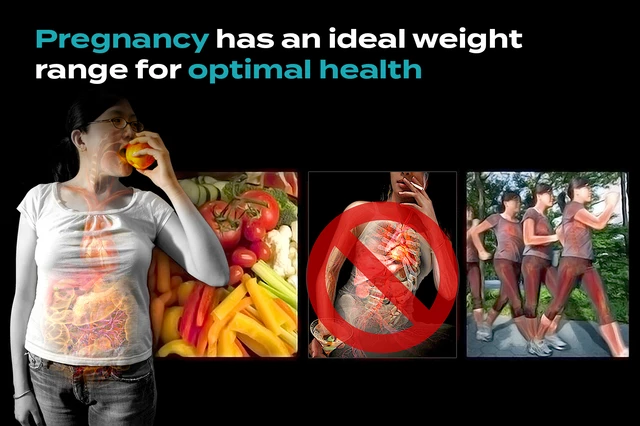Pregnancy Diet Recommendations  : Optimize Your Health