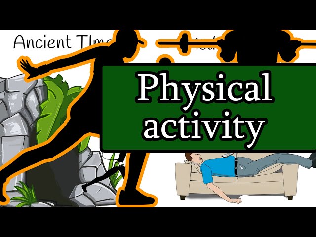 Four Types of Exercise and Physical Activity