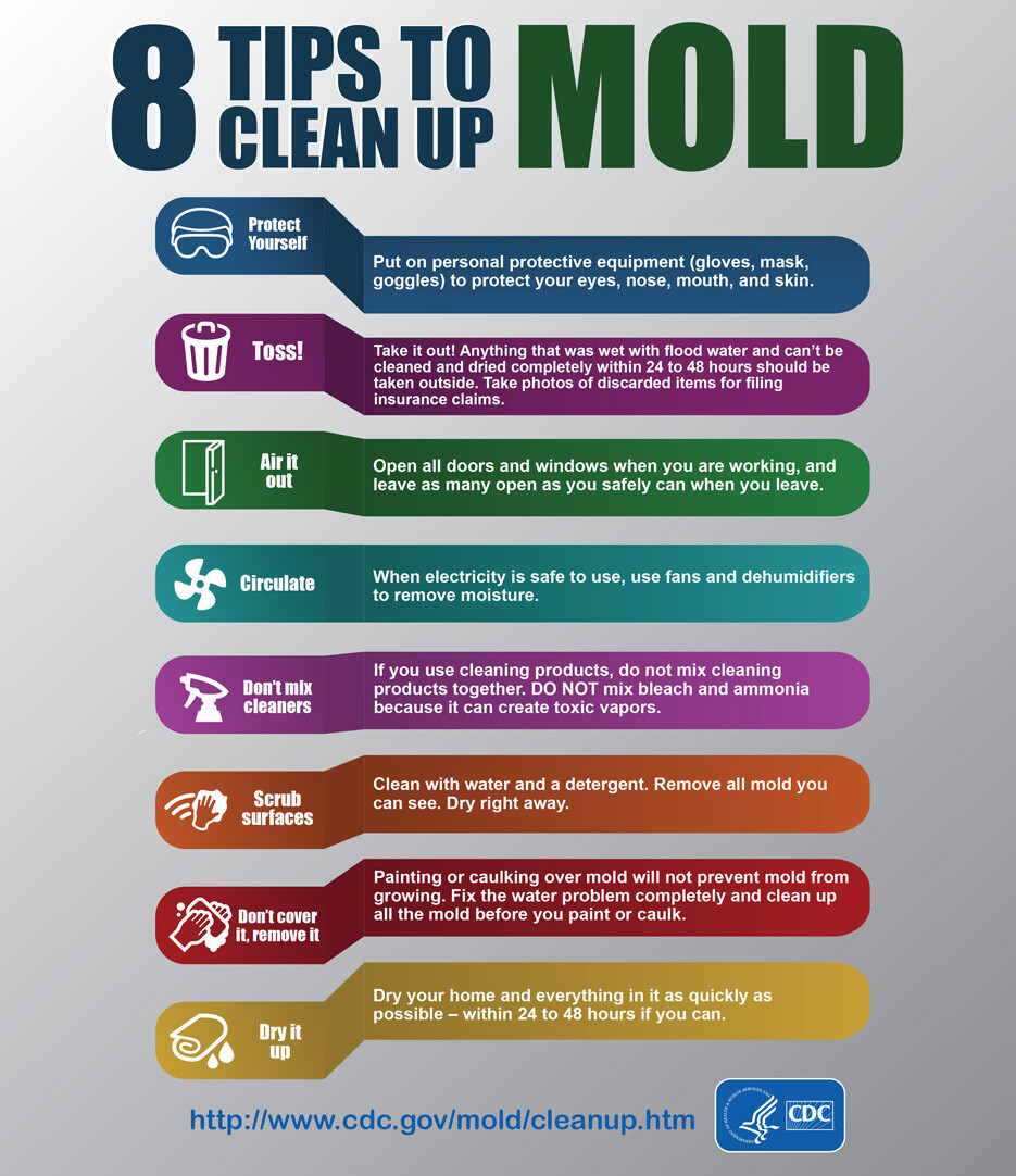 Where Are Molds Found? - StoryMD