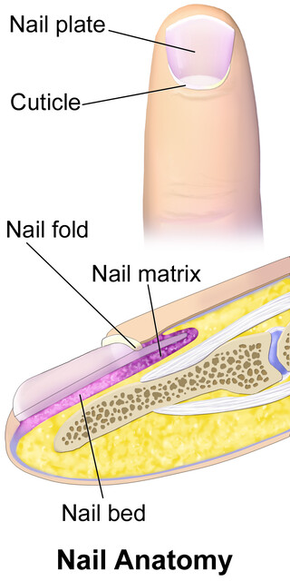 Nail psoriasis or fungus? Differences, symptoms, and outlook