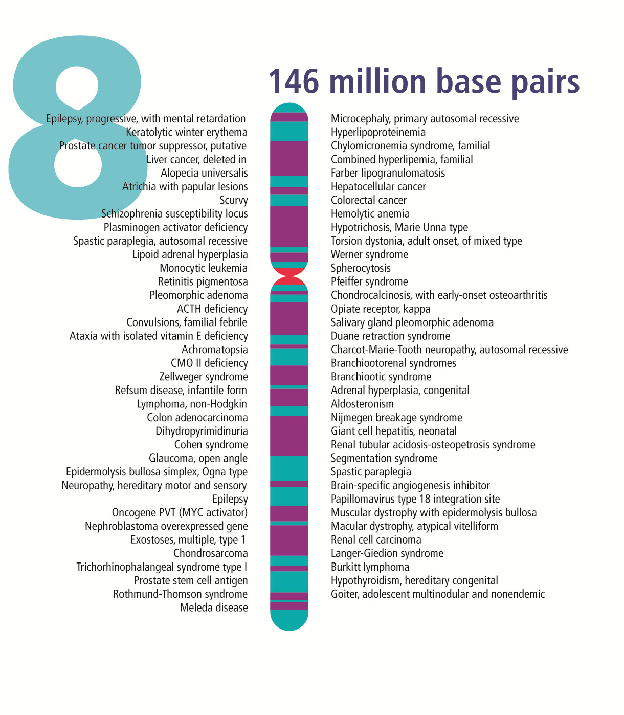 How Are Changes in the Chromosome 8 Related to Health Conditions? - StoryMD