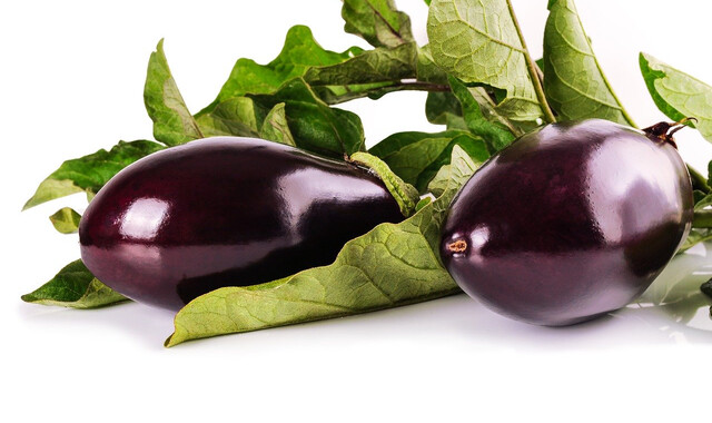 The Scarlet Eggplant, He Eggplant - Free photo on Pixabay - Pixabay
