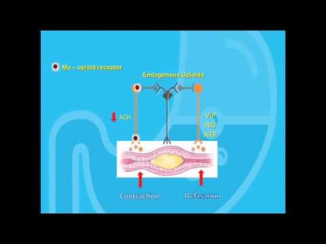 MAT Medications, Counseling, and Related Conditions - StoryMD