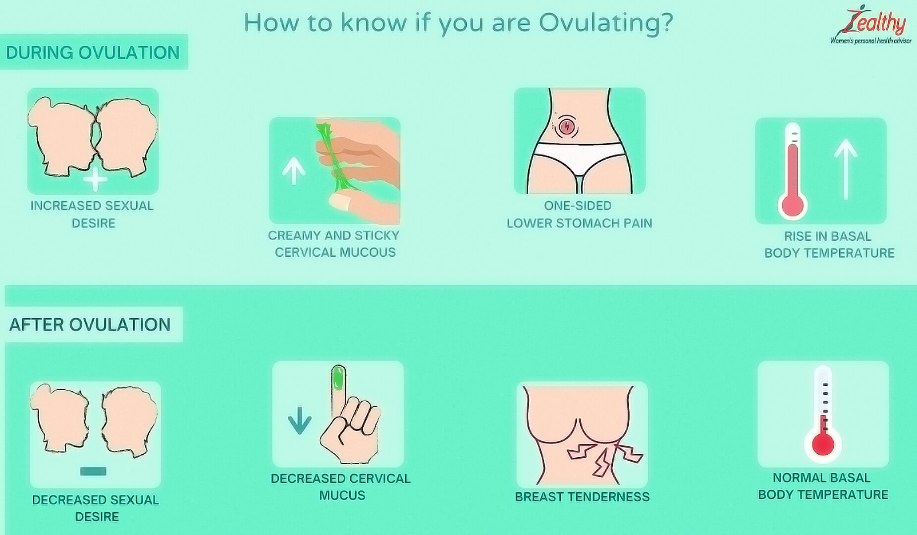 How To Know If You Are Ovulating Late? A Simple Guide For Women - Inito