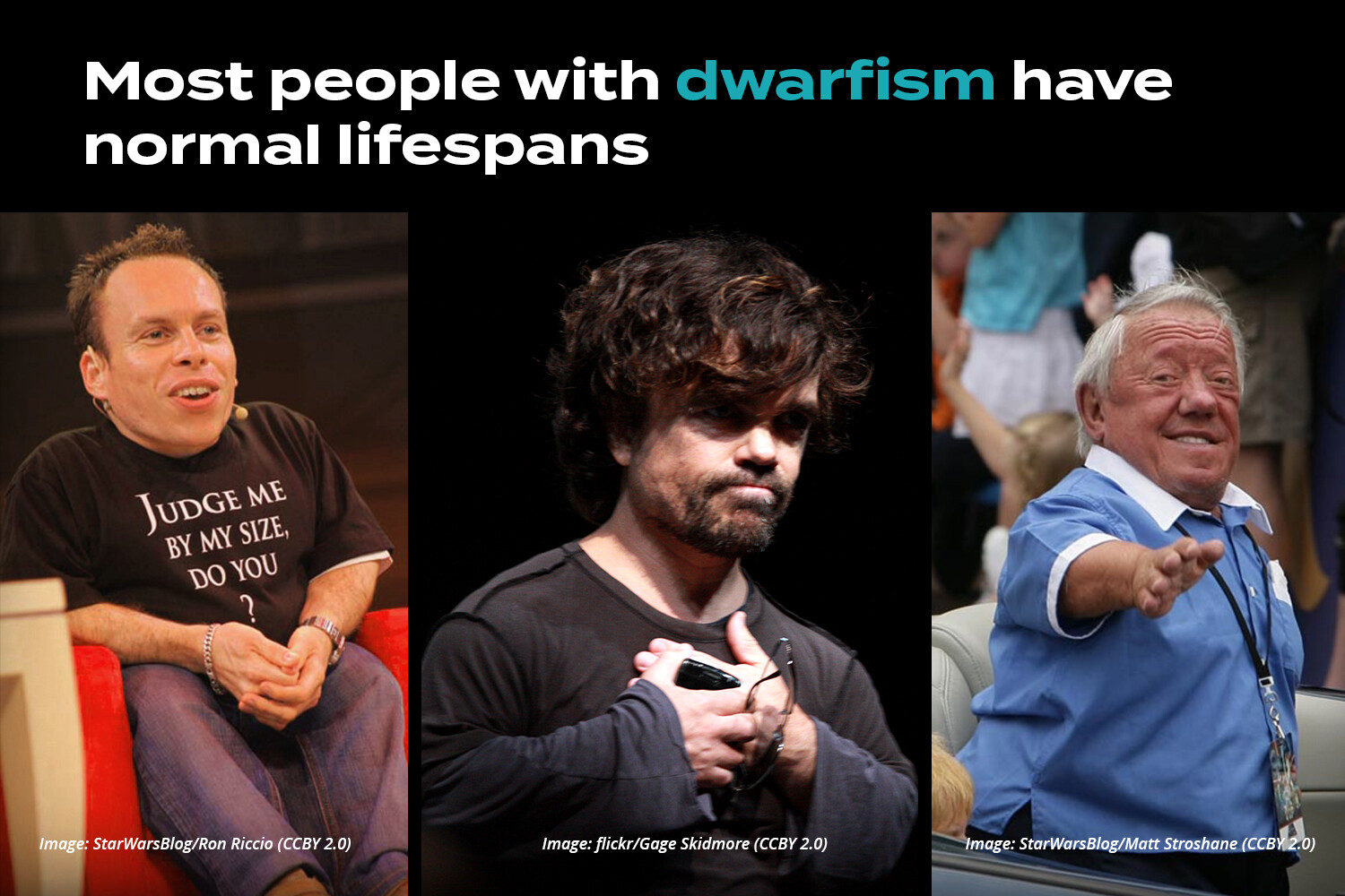 5 Celebrities Who Overcame Their Challenges With Dwarfism StoryMD