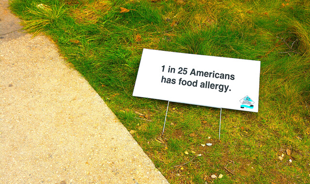 Living With Food Allergy Storymd