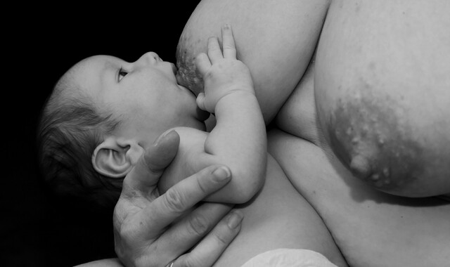 Relactation: restarting breastfeeding after a gap - ABM