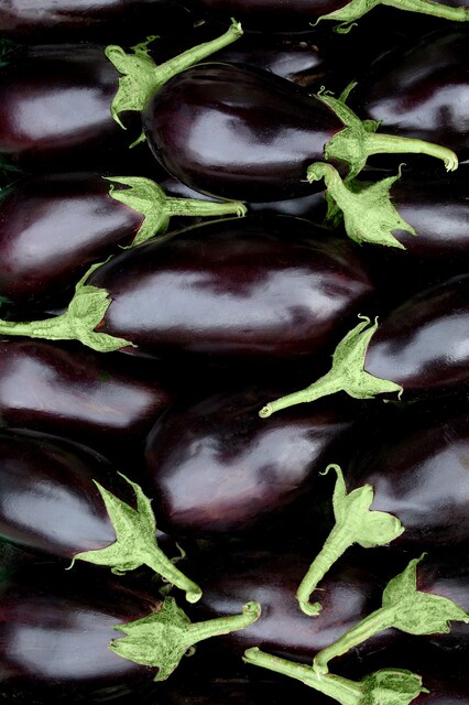 Eggplant - StoryMD