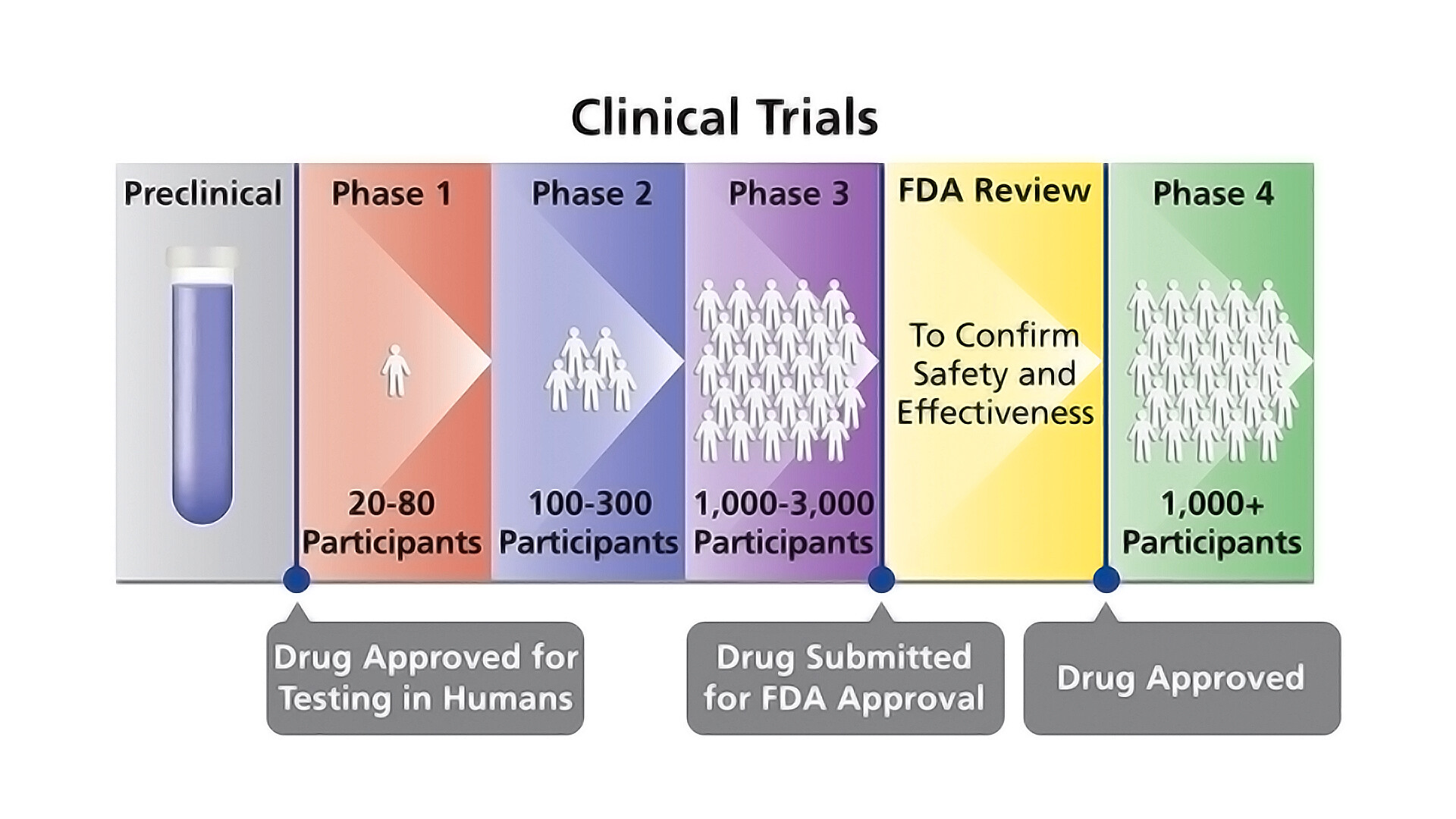 Phases of Clinical Trials - Cancer - StoryMD
