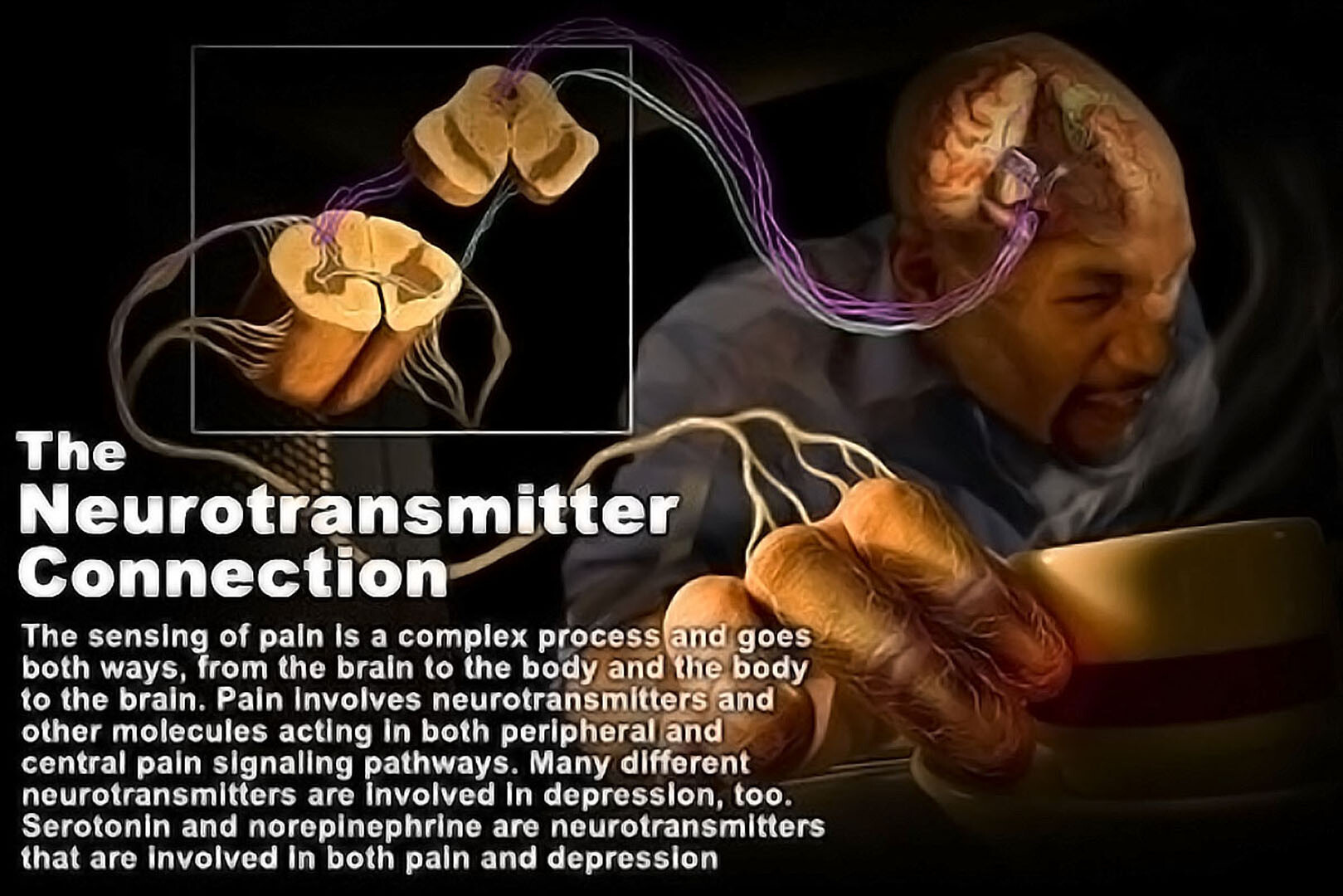 neurotransmitters in the brain and depression
