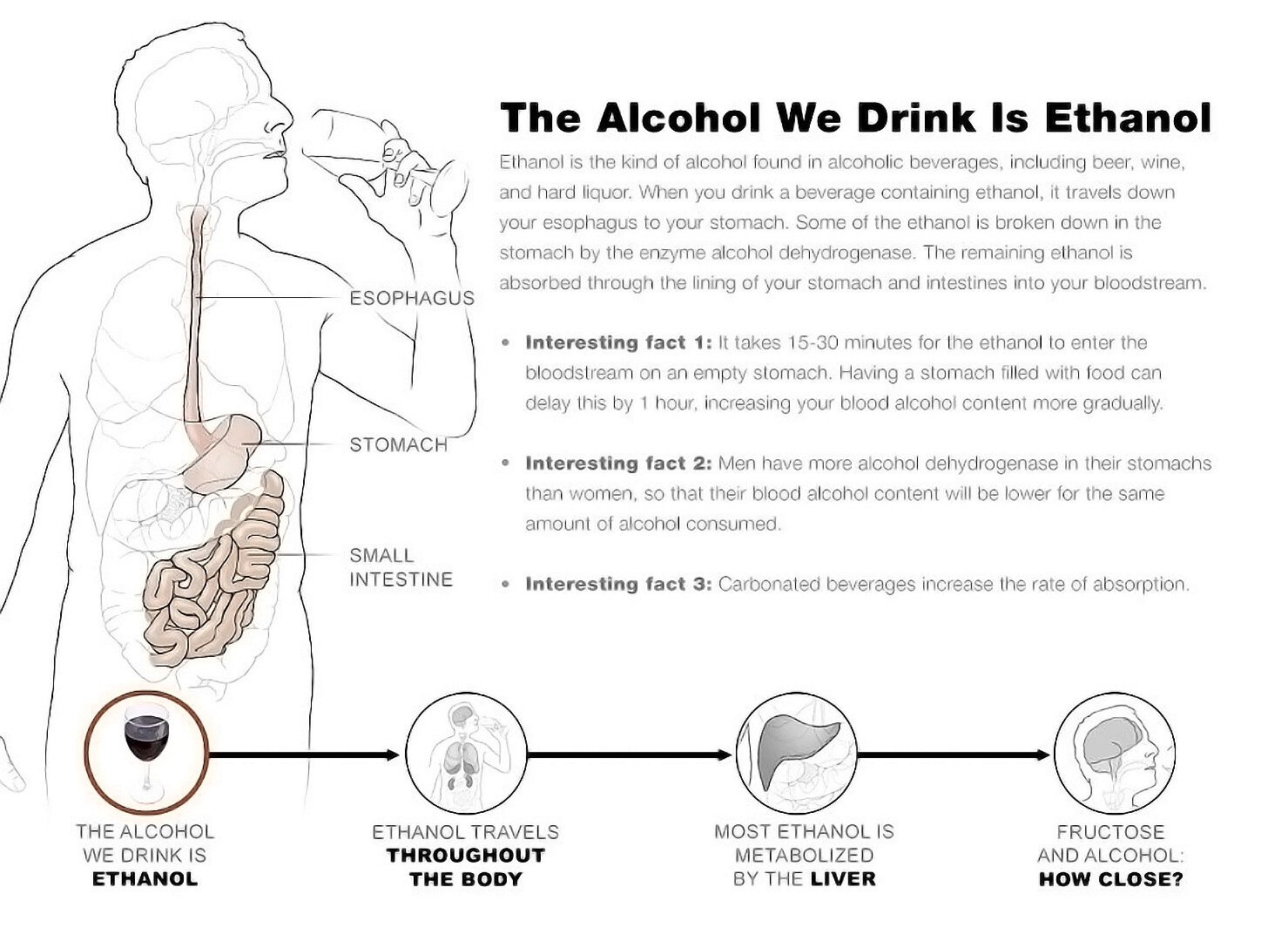 Alcohol StoryMD