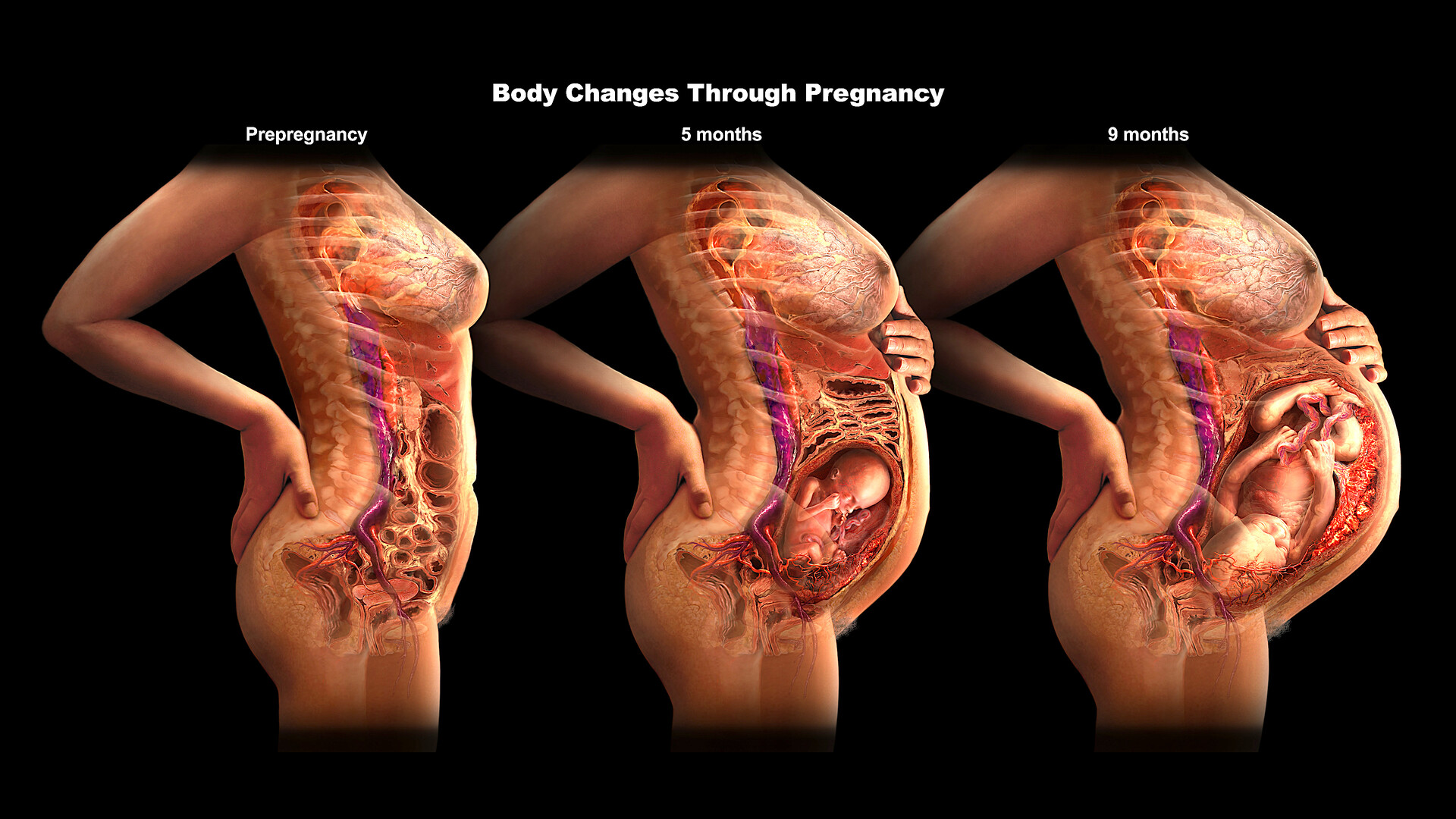 Changes to body after pregnancy - 9gag